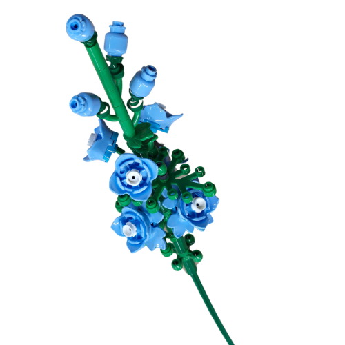 Flower Shop - Larkspur - 38