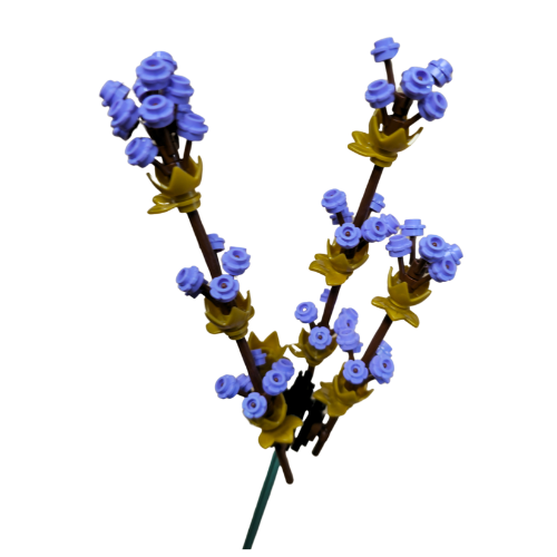 Flower Shop - Fresh Lavender - 7