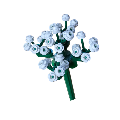 Flower Shop - Cow Parsley 1pk - 31