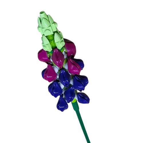 Flower Shop - Half Dozen Lupins - 101