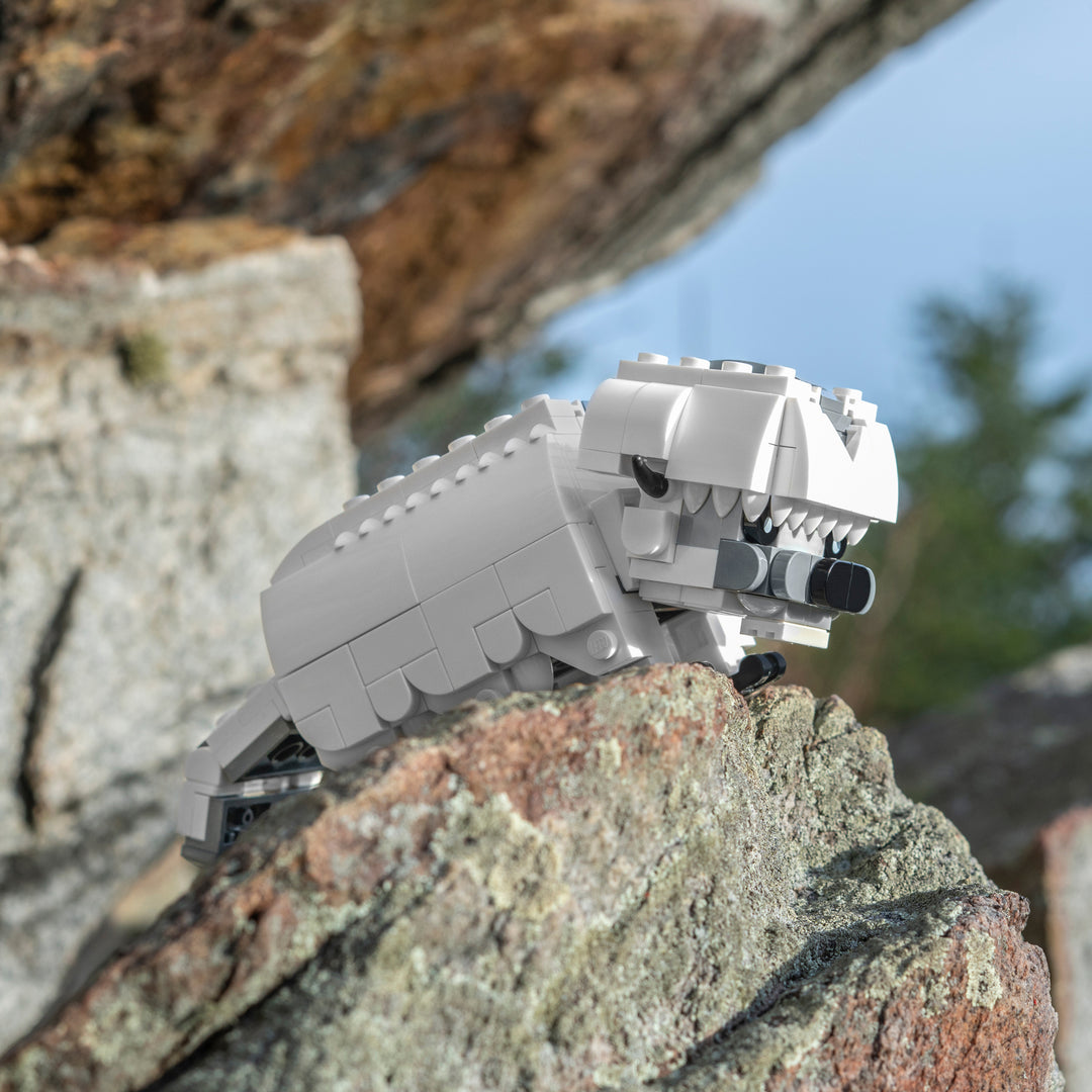 Bricker Builds - Mini Appa